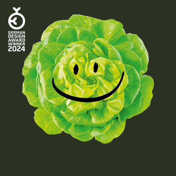 Award Winning Employer Branding für MARY LOU.