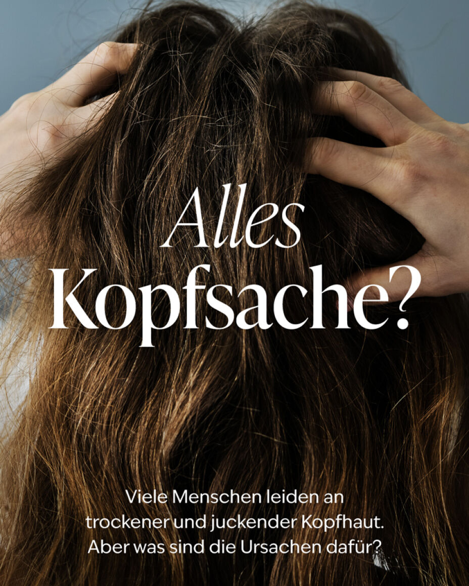 Beitrag