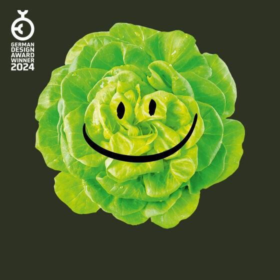 Jetzt habt ihr den Salat!